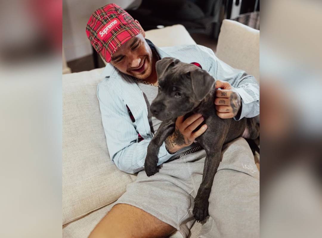 Tras la muerte de Liam Payne, crece en redes la preocupación por el destino de su perro